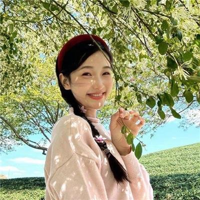 灵书妙探第六季
